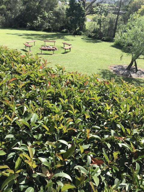 Avon View Stays Accommodation. - Accommodation Whitsundays 10