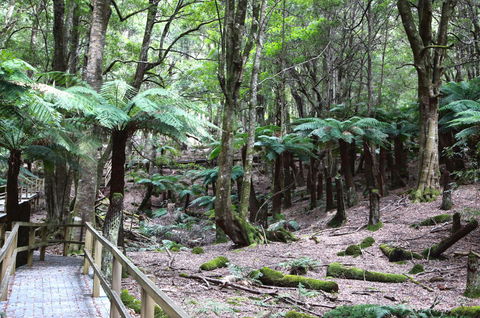 Wallace Lodge - PID-STRA-16871 - Accommodation Whitsundays 11