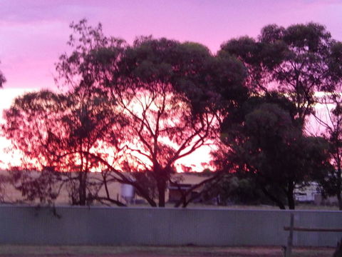 Wudinna Gawler Ranges Motel And Caravan Park - Accommodation Whitsundays 11