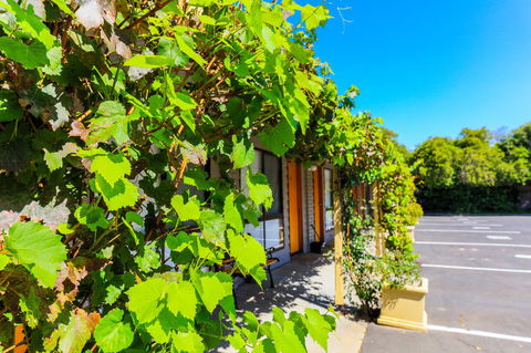 Country Roads Motor Inn Naracoorte - Accommodation Whitsundays 18