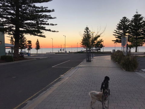 BIG4 Ceduna Tourist Park - Accommodation Whitsundays 34