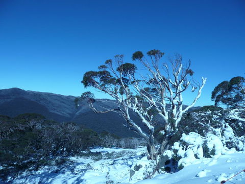 CHILL-OUT - Thredbo - Accommodation Whitsundays 33