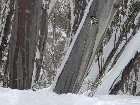 CHILL-OUT - Thredbo - Accommodation Whitsundays 30