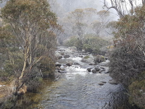 CHILL-OUT - Thredbo - Accommodation Whitsundays 23