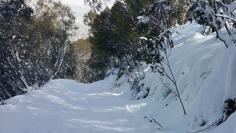 CHILL-OUT - Thredbo - Accommodation Whitsundays 17