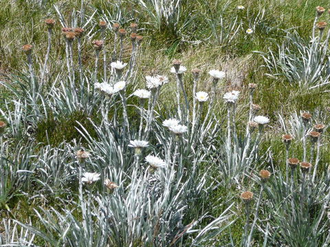 CHILL-OUT - Thredbo - Accommodation Whitsundays 36