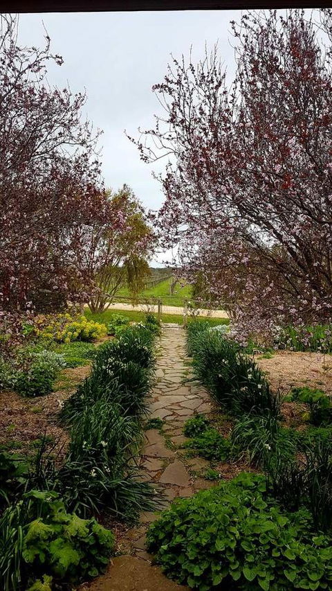 D2 At Watervale - Accommodation Whitsundays 4