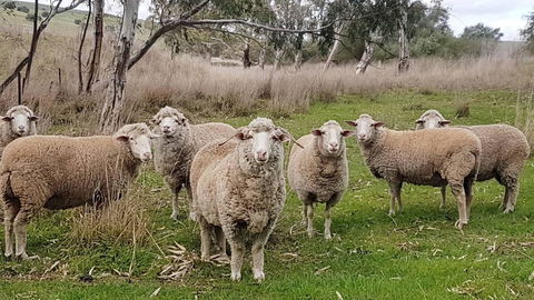 D2 At Watervale - Accommodation Whitsundays 24