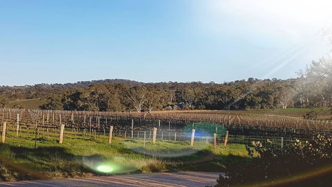 D2 At Watervale - Accommodation Whitsundays 23