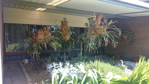 Hilltop Escape - Accommodation Whitsundays 11