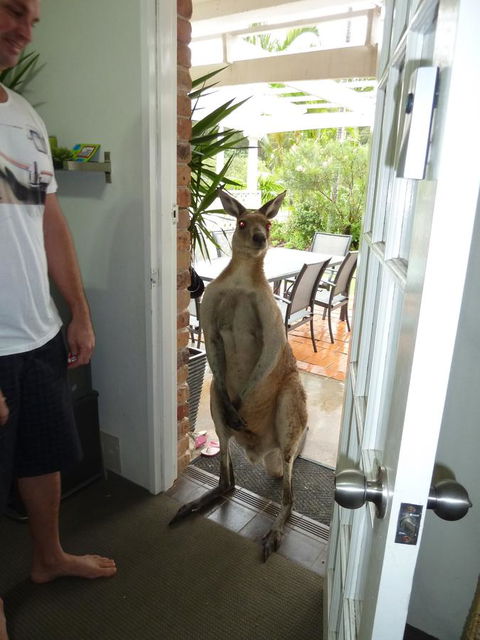 Aston Motel Yamba - Accommodation Whitsundays 10