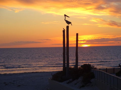 Aurora Holiday Apartment @West Beach - Accommodation Whitsundays 12