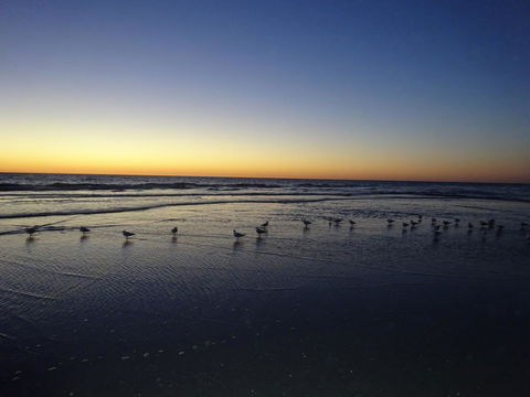 Aurora Holiday Apartment @West Beach - Accommodation Whitsundays 14