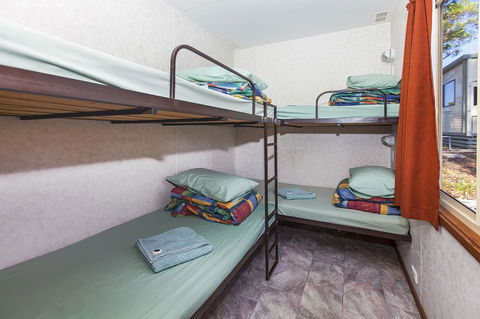 Echo Holiday Parks - Naracoorte - Accommodation Whitsundays 35