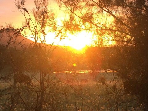 Grapevines Boutique Accommodation - Accommodation Whitsundays 27