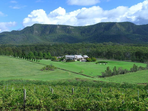 Grapevines Boutique Accommodation - Accommodation Whitsundays 23