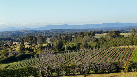 Grapevines Boutique Accommodation - Accommodation Whitsundays 21