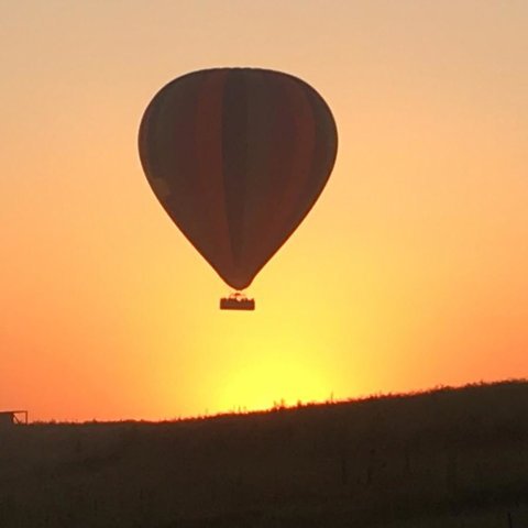 Grapevines Boutique Accommodation - Accommodation Whitsundays 13