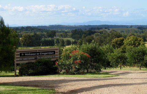 Grapevines Boutique Accommodation - Accommodation Whitsundays 15