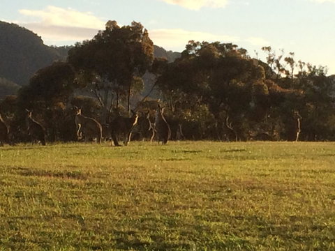 Grapevines Boutique Accommodation - Accommodation Whitsundays 26