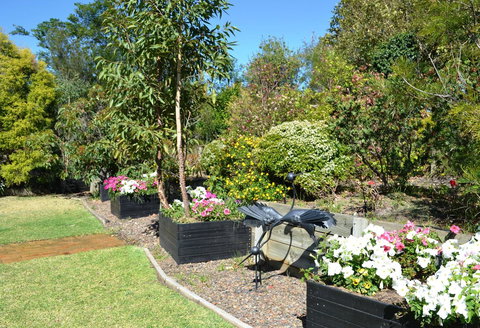 Grapevines Boutique Accommodation - Accommodation Whitsundays 17