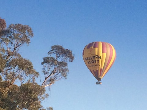 Grapevines Boutique Accommodation - Accommodation Whitsundays 12