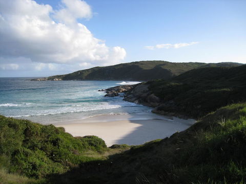 Albany Motel & Apartments - Accommodation Whitsundays 23