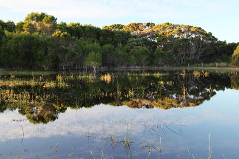 Sapphire Chalets, Augusta - Accommodation Whitsundays 14