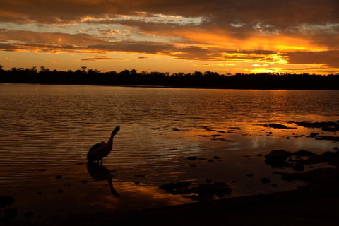 Dungowan Holiday Accommodation - Accommodation Whitsundays 31