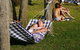 Dungowan Holiday Accommodation - thumb 32