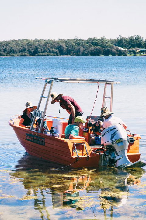 Dungowan Holiday Accommodation - Accommodation Whitsundays 39