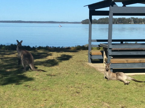 Dungowan Holiday Accommodation - Accommodation Whitsundays 33