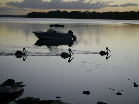 Dungowan Holiday Accommodation - Accommodation Whitsundays 41