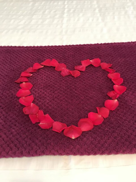 Nelson Bay Bed & Breakfast - Accommodation Whitsundays 4