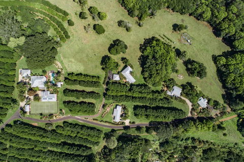 Byron Hinterland Villas - Accommodation Whitsundays 17