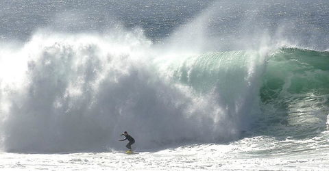 Refuge Cove On Pittwater - Accommodation Whitsundays 16