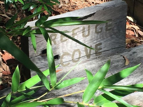 Refuge Cove On Pittwater - Accommodation Whitsundays 12