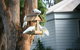 Huskisson Holiday Motel Cabins - thumb 29