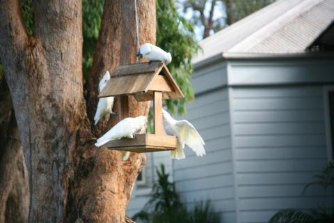 Huskisson Holiday Motel Cabins - Accommodation Whitsundays 29
