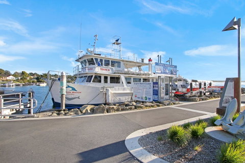 Huskisson Holiday Motel Cabins - Accommodation Whitsundays 6