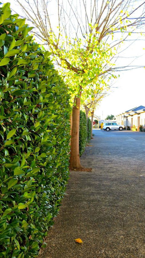 Best Western Plus Goulburn - Accommodation Whitsundays 37