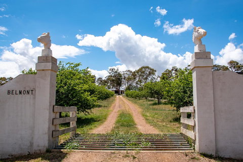 Belmont - Accommodation Whitsundays 5