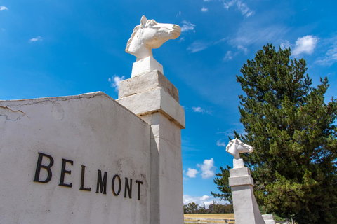 Belmont - Accommodation Whitsundays 4