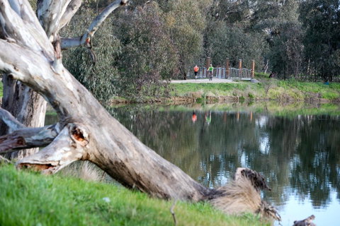 Mercure Albury - Accommodation Whitsundays 15