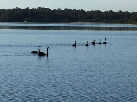 Swan Bay Hideaway - Accommodation Whitsundays 7