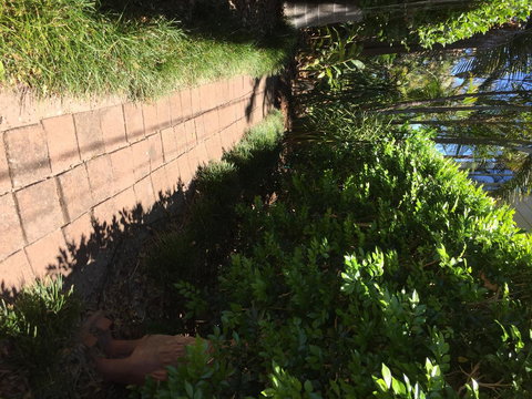 Swan Bay Hideaway - Accommodation Whitsundays 6