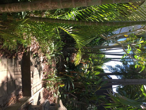 Swan Bay Hideaway - Accommodation Whitsundays 9