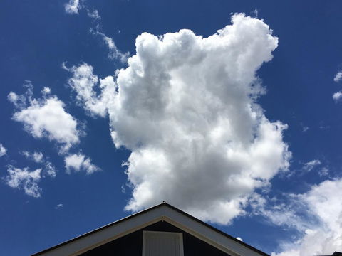 99 Hill Street Apartments - Accommodation Whitsundays 18