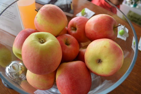 The Apple Inn - Accommodation Whitsundays 12