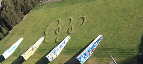 Stunning Views Sydney Olympic Park - Accommodation Whitsundays 29